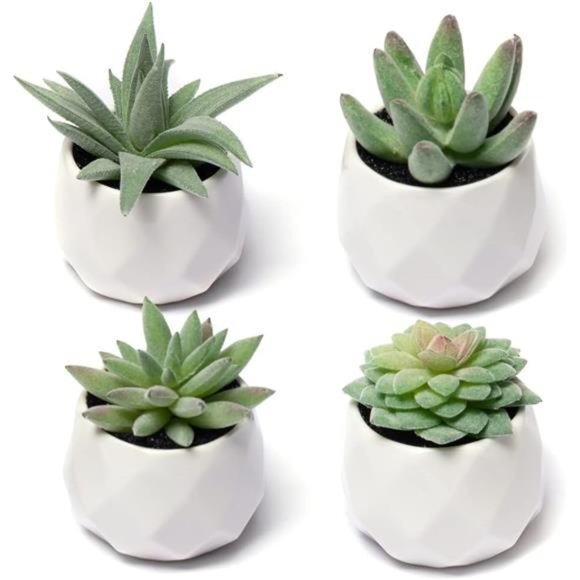 Fake Succulent Plant Set - Artificial Succulent Plants for Desk Decor Realistic - Picture 1 of 6